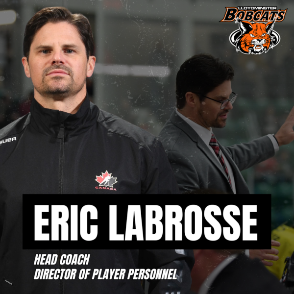 BOBCATS NAME ERIC LABROSSE HEAD COACH