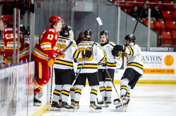 VIDEO: GRIZZLYS MID-SEASON UPDATE