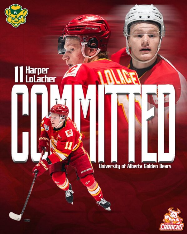 LOLACHER COMMITS TO GOLDEN BEARS