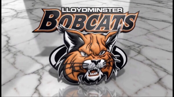 OFF SEASON CHECK-IN: BOBCATS
